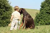 ENFANT ET CHIEN 250